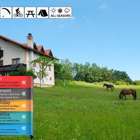 Eco Farm Milanovic Guest House Despotovac Exterior foto