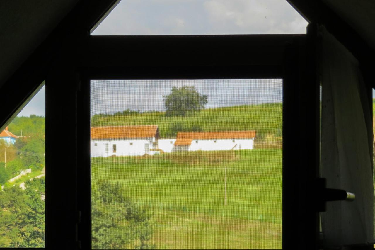 Eco Farm Milanovic Guest House Despotovac Exterior foto