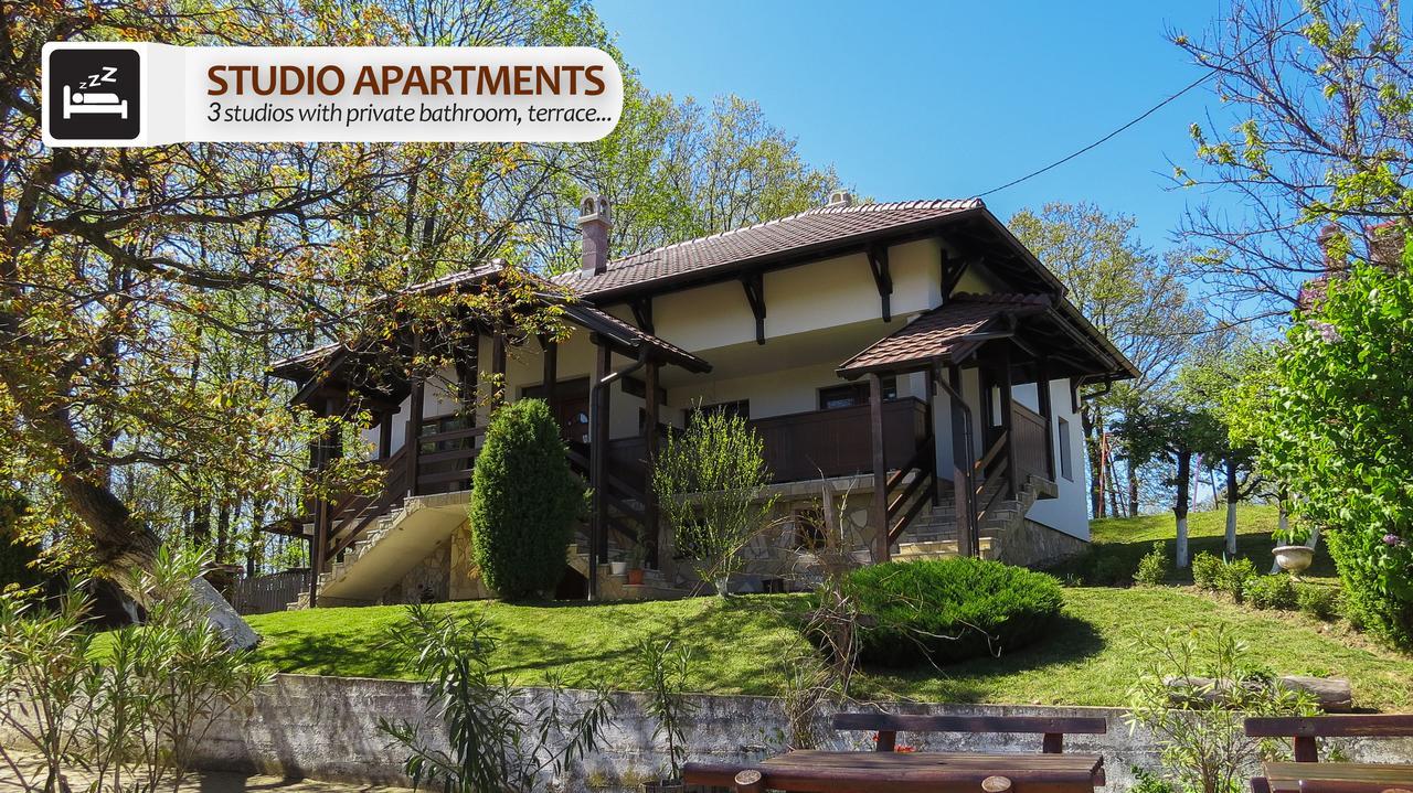 Eco Farm Milanovic Guest House Despotovac Exterior foto