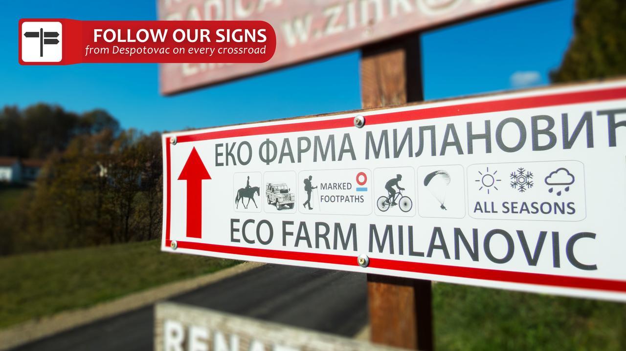 Eco Farm Milanovic Guest House Despotovac Exterior foto