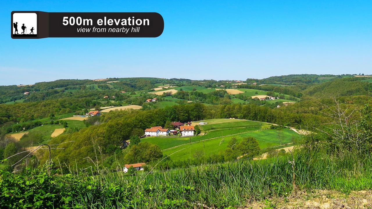 Eco Farm Milanovic Guest House Despotovac Exterior foto