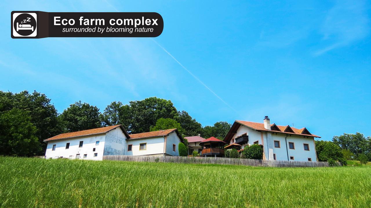 Eco Farm Milanovic Guest House Despotovac Exterior foto