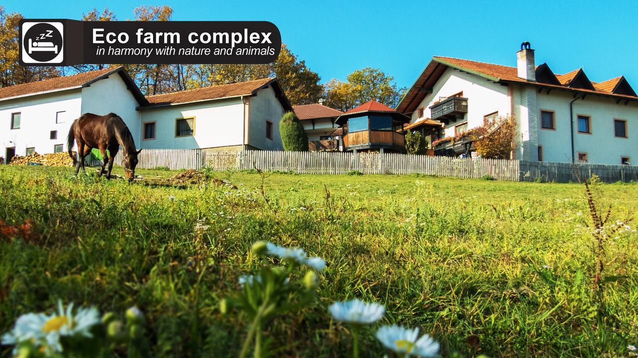 Eco Farm Milanovic Guest House Despotovac Exterior foto