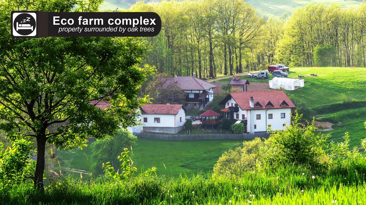 Eco Farm Milanovic Guest House Despotovac Exterior foto