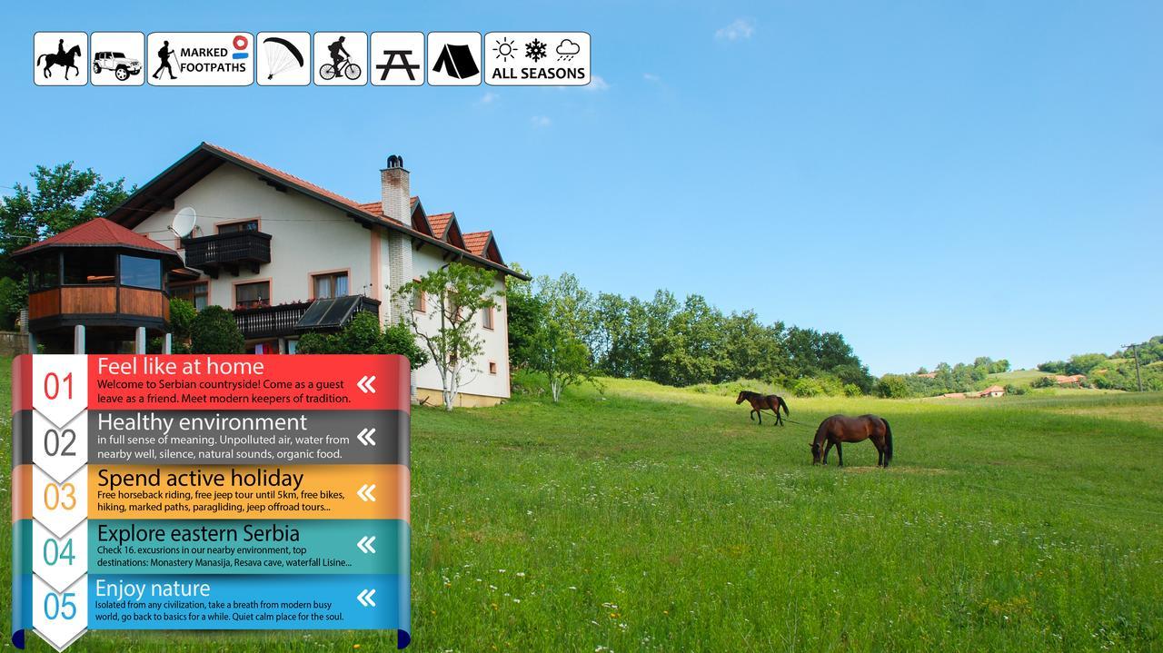 Eco Farm Milanovic Guest House Despotovac Exterior foto