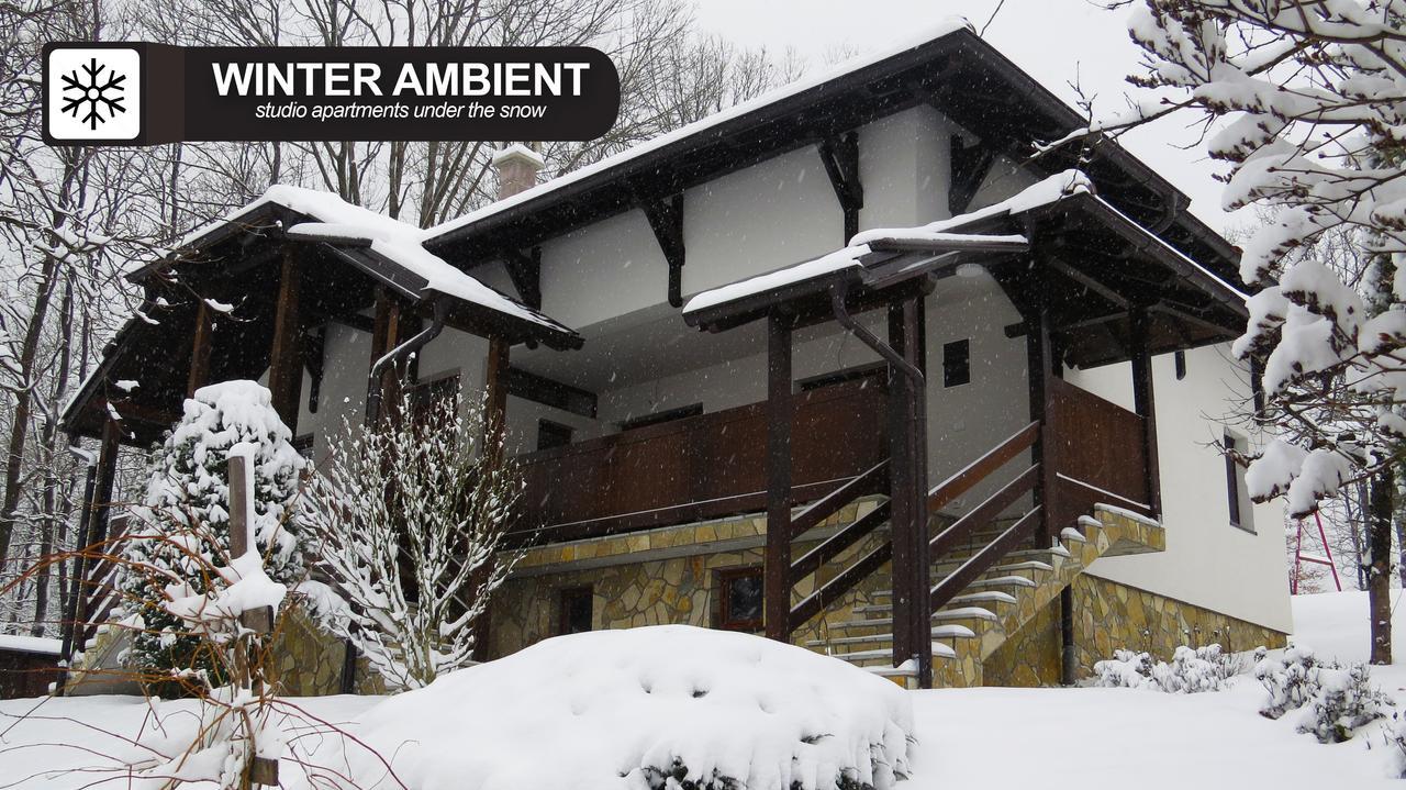 Eco Farm Milanovic Guest House Despotovac Exterior foto