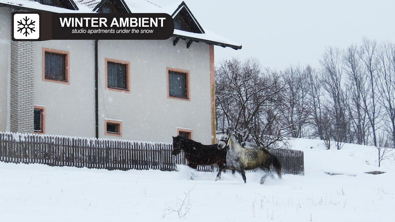Eco Farm Milanovic Guest House Despotovac Exterior foto